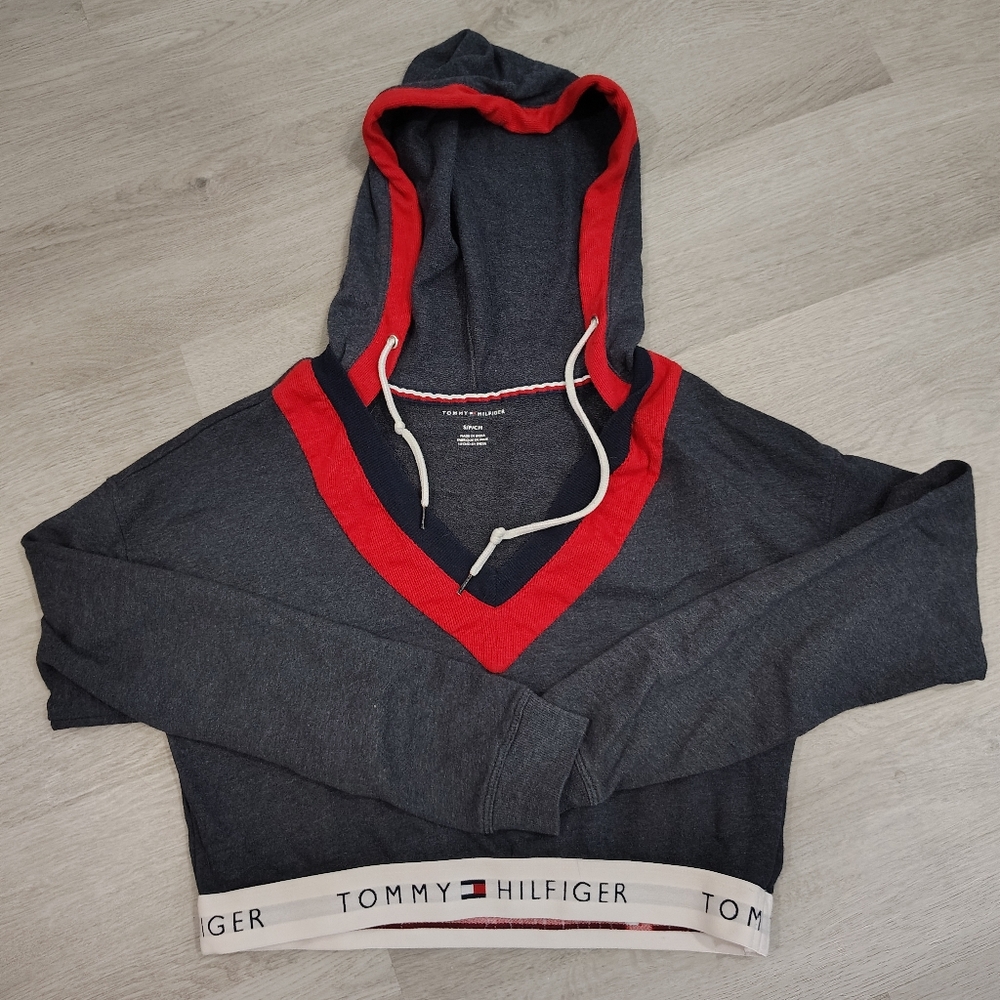 Tommy Hilfiger Dark Gray and Red Hoodie